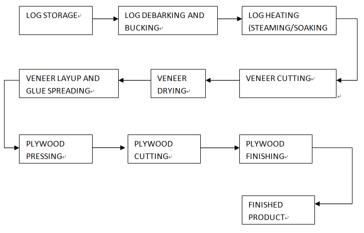 plywood manufacturing process