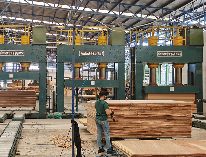 plywood cold press machine working in Thailand