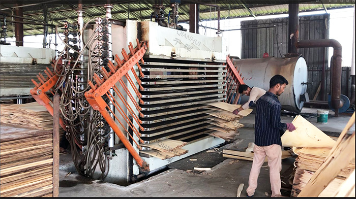 hot press veneer dryer machine working in Malaysia factory