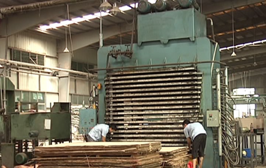 Complete Plywood Production Line Plywood Making Machines -- How Plywood is Made